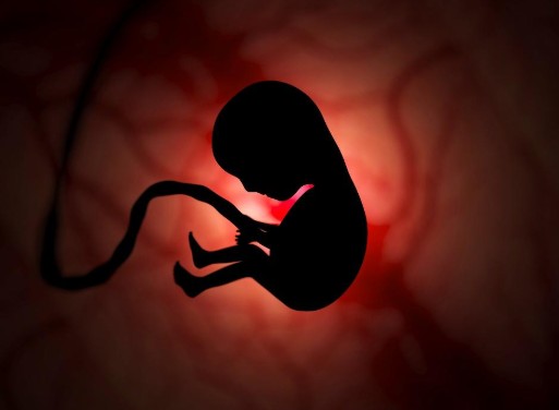 “A Vida Inteira que Poderia ter sido e que não foi”: Algumas Reflexões Sobre a Vida e o Aborto