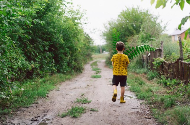Estudo No. 01 sobre a obra Os Filhos do Governo, de Roberto da Silva