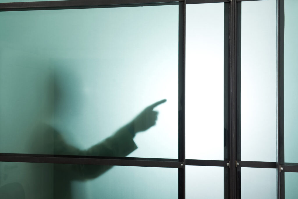 A Incoerência dos Negacionistas da Busca da Verdade