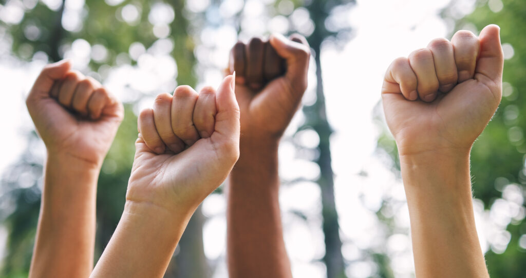 Direito natural, constitucionalismo e direitos humanos